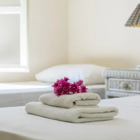 The Ultimate Guide To Renting Your Luxury 3 Bedroom Villa, 1481 Villa *
